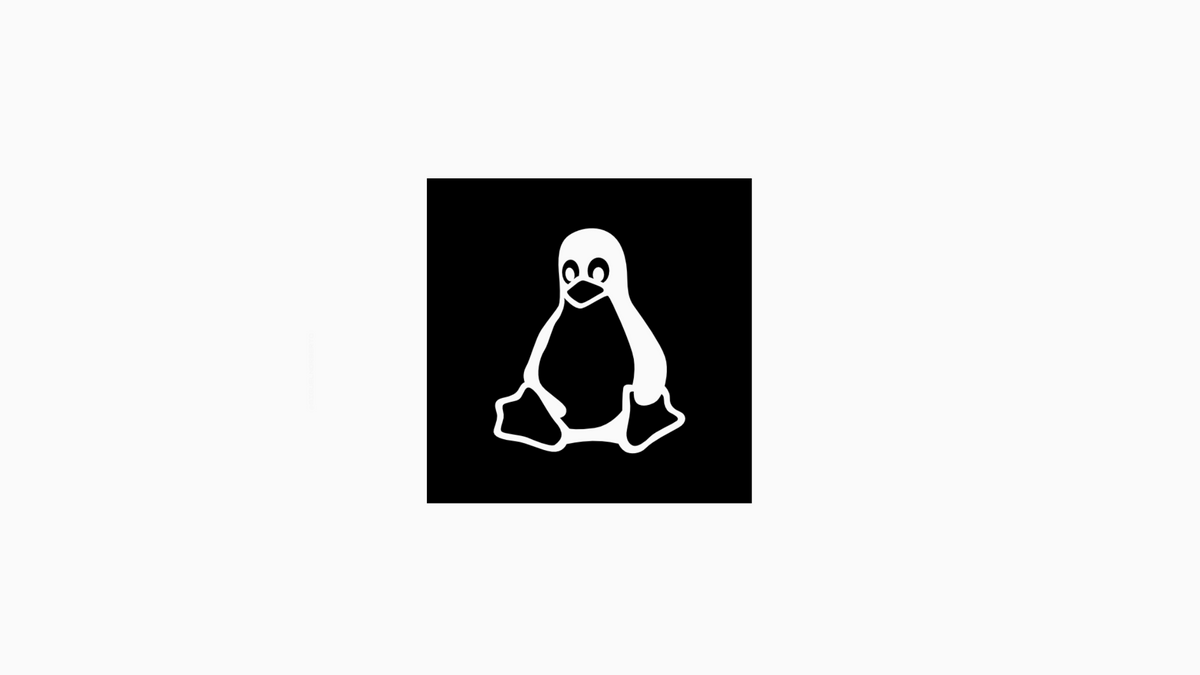 Linux Coding Set Up
